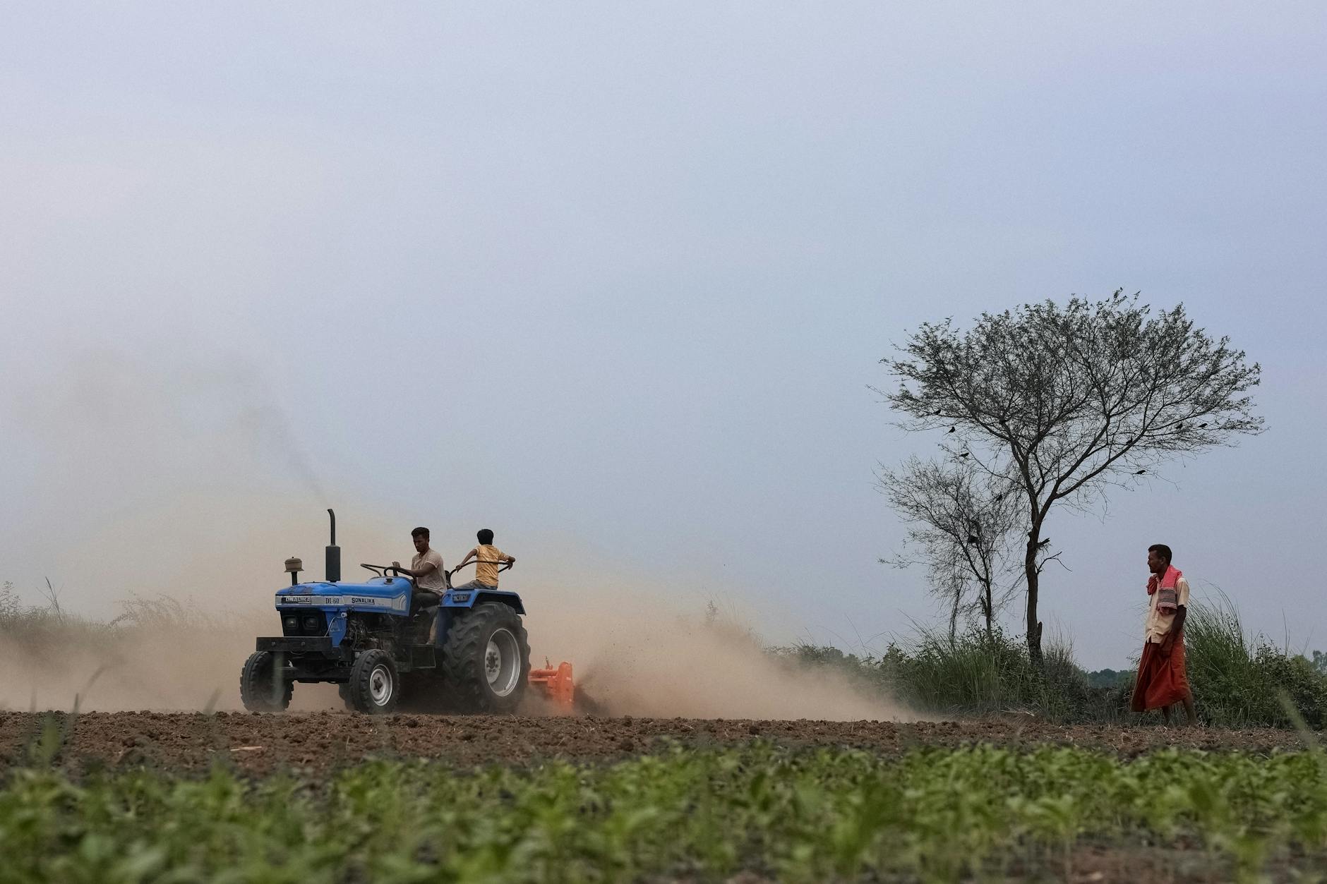 people on tractor on a field