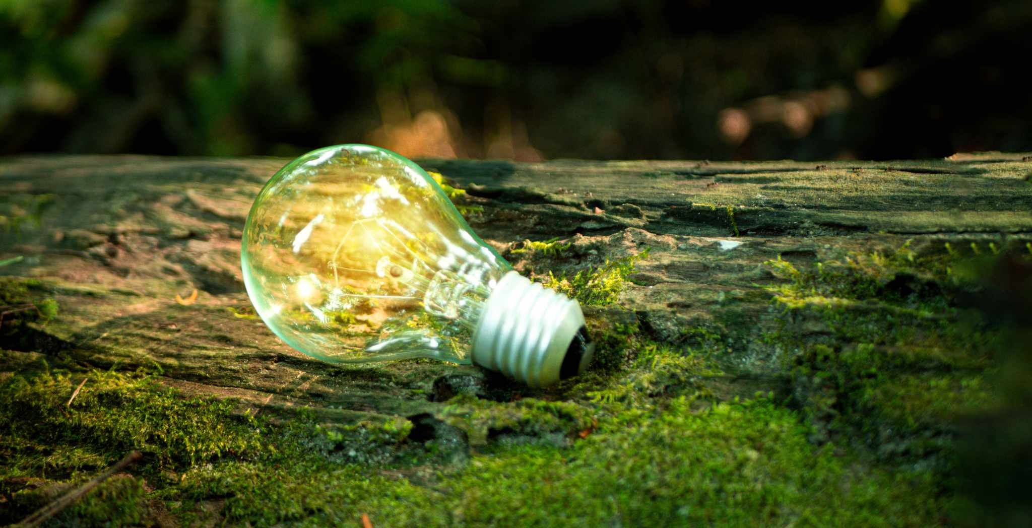 Sustainable Innovation