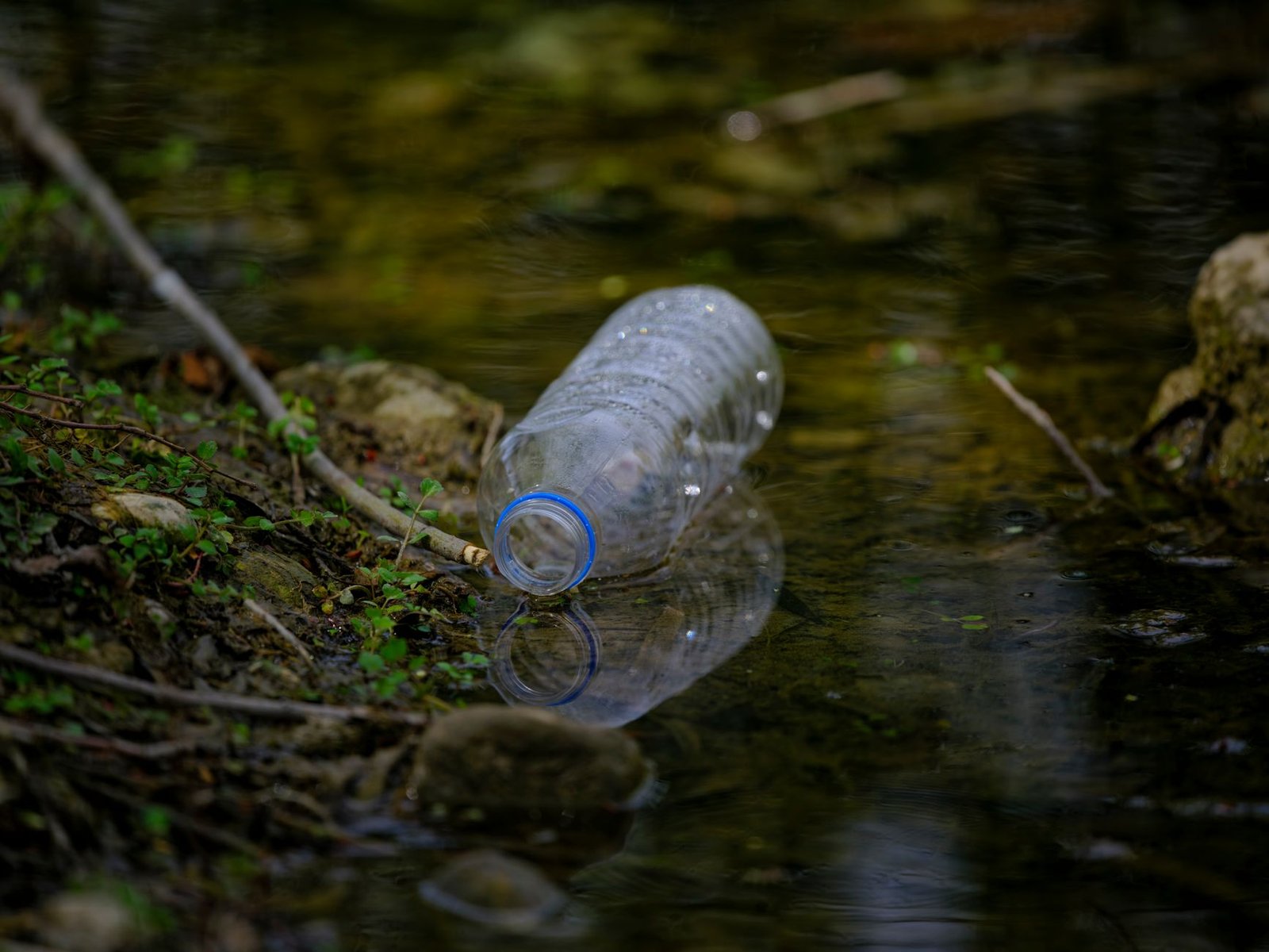 plastic bottle pollution in nature stream
